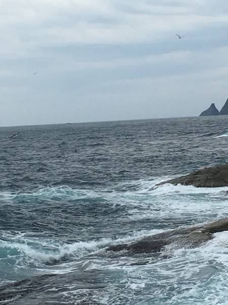 ジグで久しぶりに♪