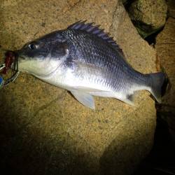 久々に相手してくれました