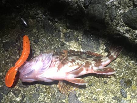 外道で終了ですが…