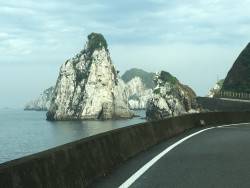 釣ったじゃなくて釣れた…