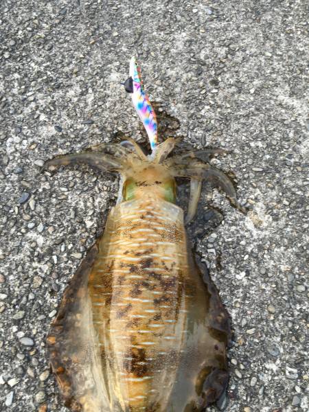 仕事終わりに…