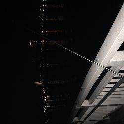 タチウオなんとか1匹