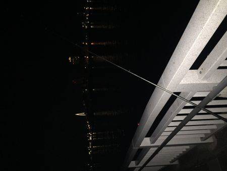 タチウオなんとか1匹