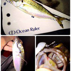 サーフ堪能(*^^*)