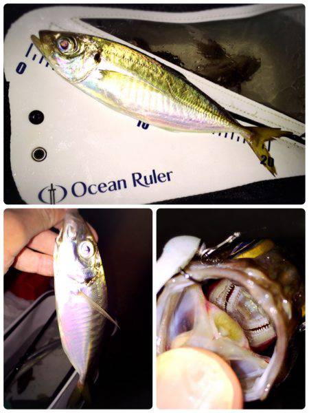 サーフ堪能(*^^*)