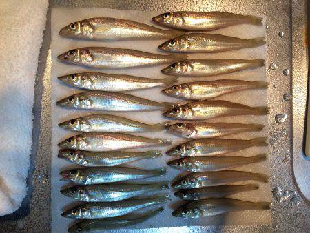 カルシウム捕獲