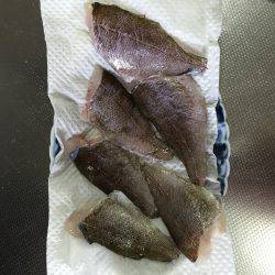 小メバルに癒され