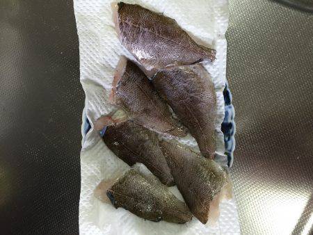 小メバルに癒され