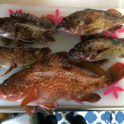 短時間で獲物ゲット