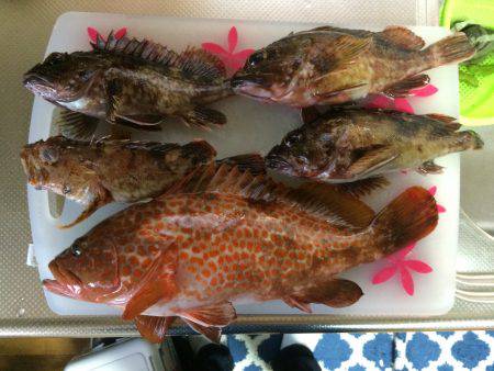 短時間で獲物ゲット