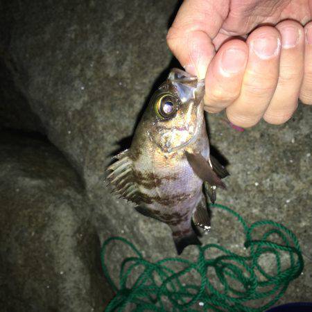 じぇんじぇん！