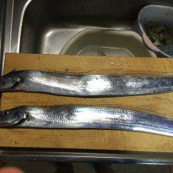 本命って嬉しいですね