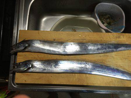 本命って嬉しいですね