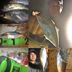 雨直前 アジング!