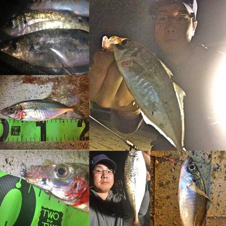 雨直前 アジング!