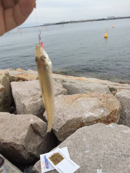 LSJからのキッシング！！