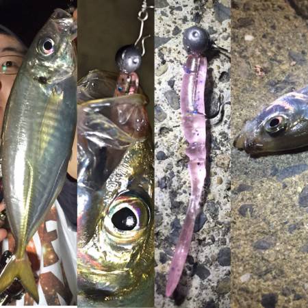 東風強 アジング！