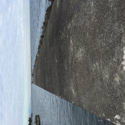 ガシラホールフィッシング