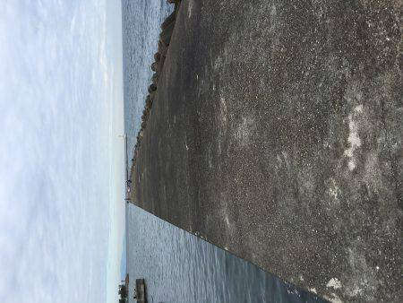 ガシラホールフィッシング