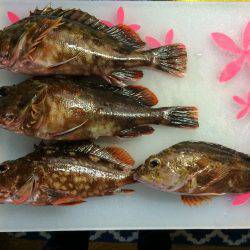 深夜に目が覚めて気付いたら、、、