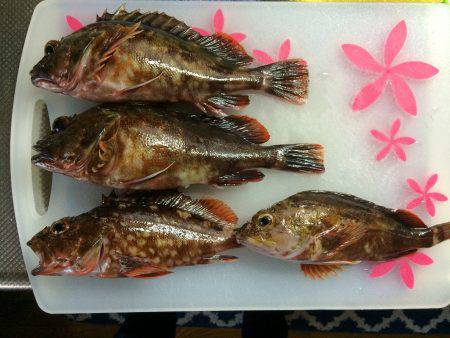 深夜に目が覚めて気付いたら、、、