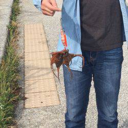 貝塚水路にて！