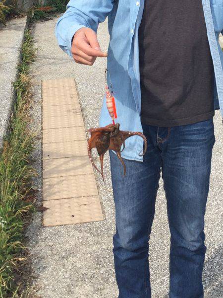 貝塚水路にて！