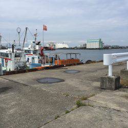 いとしのアジー