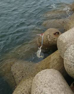 久々のショアジギング