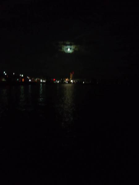 メバリング（餌）