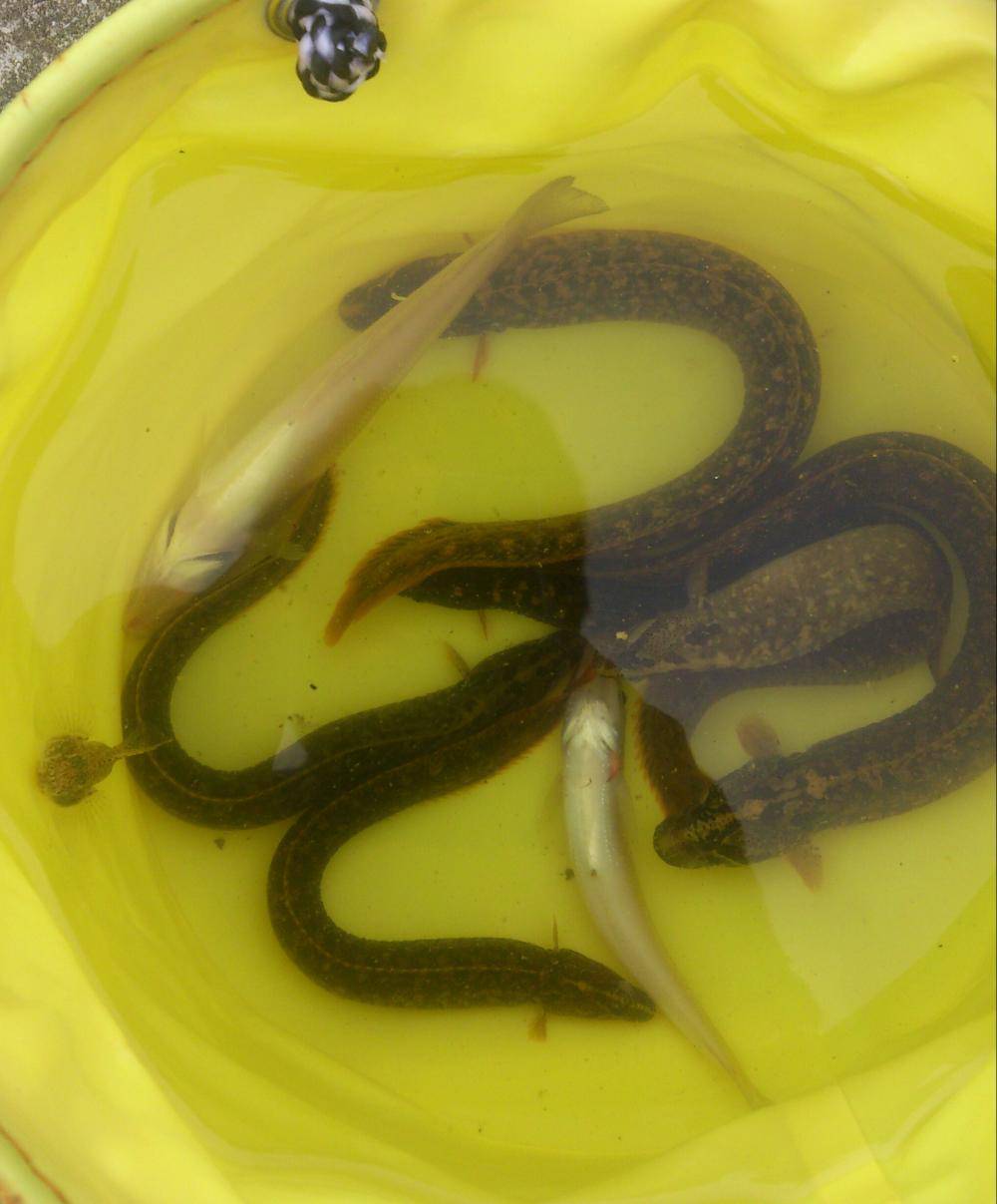 投げ釣りチャレンジ