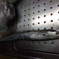 タチウオ開幕戦