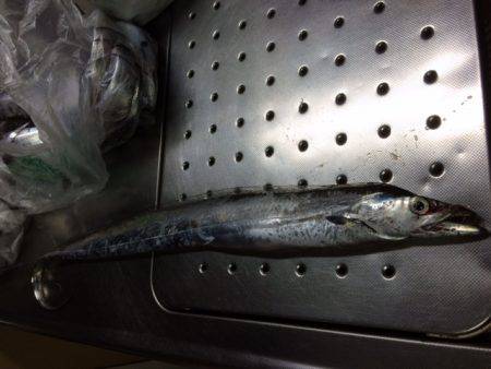 タチウオ開幕戦