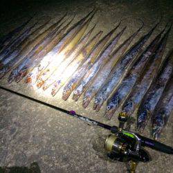 サイズが・・・