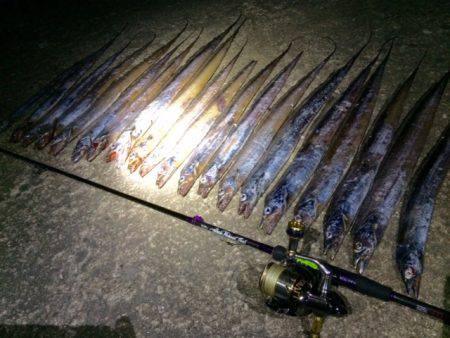 サイズが・・・