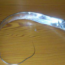 雨のやみ間に大物ヒット