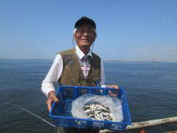 イワシ大漁！尼崎市立魚つり公園