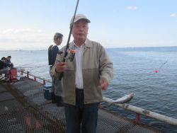 尼崎市立魚つり公園 イワシ好調