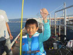 尼崎市立魚つり公園 イワシ400匹