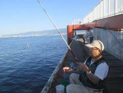 尼崎市立魚つり公園 イワシ400匹