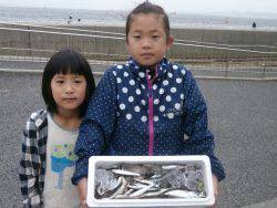 海釣り公園でホウボウも釣れています