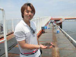 尼崎市立魚つり公園 チヌ、イワシほか