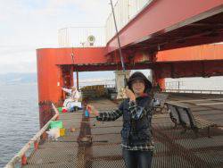 尼崎市立魚つり公園　イワシ、サッパ