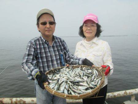 尼崎市立魚つり公園　イワシ大爆釣！