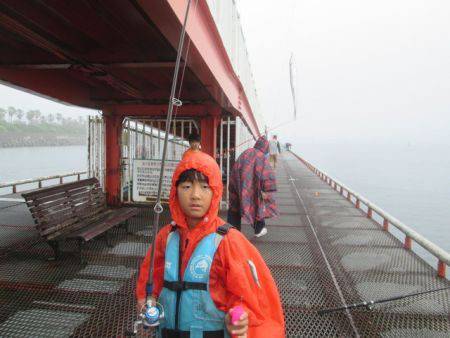 尼崎市立魚つり公園　イワシ650匹ほか