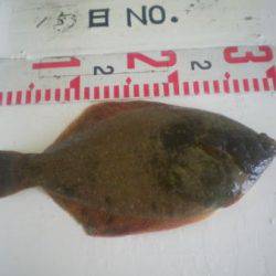 姫路市立遊魚センター 投稿