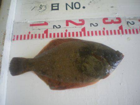 姫路市立遊魚センター 投稿