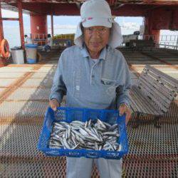 尼崎市立魚つり公園 イワシ、サバ、サッパ