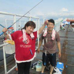 尼崎市立魚つり公園 イワシ、サバ、サッパ