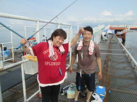 尼崎市立魚つり公園 イワシ、サバ、サッパ